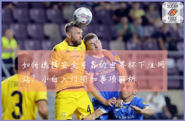 如何选择安全可靠的世界杯下注网站？小白入门须知事项解析